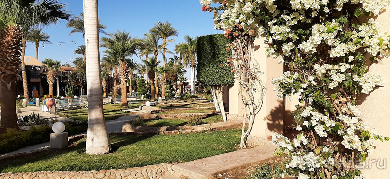Отдых в Ali Baba Palace